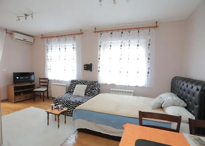 Apartments Leon