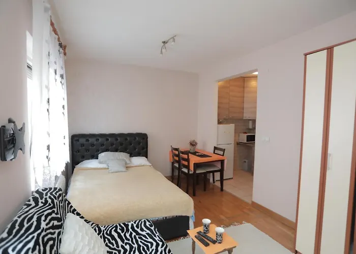 Apartments Leon